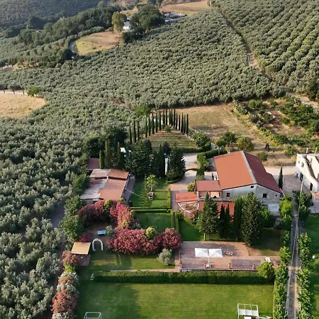 Aria - Di Campagna Montecorvino Rovella
